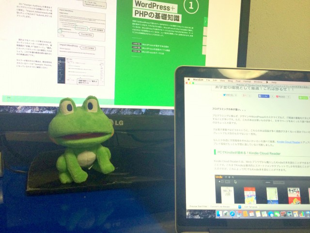 Kindle Cloud ReaderとデュアルディスプレイがIT系学習の環境として最適！これは捗るぜ！！